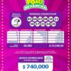 Pozo Revancha 74 Boletín Oficial