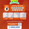 Pozo Revancha 81 Boletín Oficial
