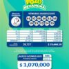 Pozo Revancha 85 Boletín Oficial