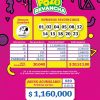 Pozo Revancha 88 Boletín Oficial