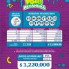 Pozo Revancha 90 Boletín Oficial