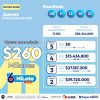 MiLoto 208 Boletín Oficial