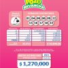 Pozo Revancha 92 Boletín Oficial