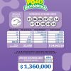 Pozo Revancha 95 Boletín Oficial