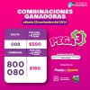 Pega 3 445 Boletín Oficial