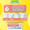 Pozo Revancha 101 Boletín Oficial