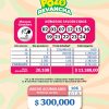 Pozo Revancha 105 Boletín Oficial