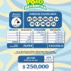 Pozo Revancha 108 Boletín Oficial