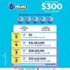 MiLoto 294 Boletín Oficial