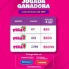 Pega 2, 3, 4 24 03 2025 Boletín Oficial