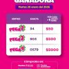 Pega 2, 3, 4 del 20 01 2026 Boletín Oficial